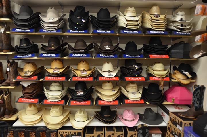 coyotes western store